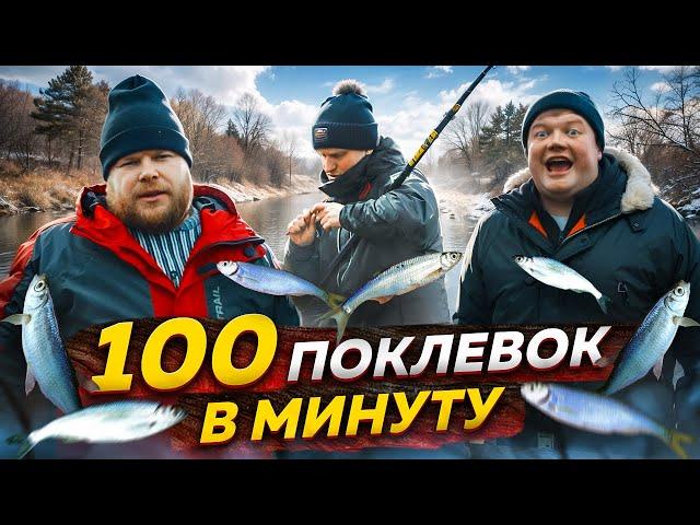 БЕШЕННАЯ УКЛЕЙКА КЛЮЁТ НА ВСЁ. Рыбалка по открытой воде