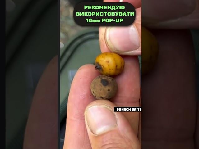 TOP 1: Монтаж, Насадка, Презентація!  Зроби і Лови Коропа БЕЗ Проблем  #рибалка #ловлякоропа