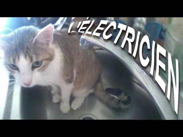 L'ÉLECTRICIEN - PAROLE DE CHAT