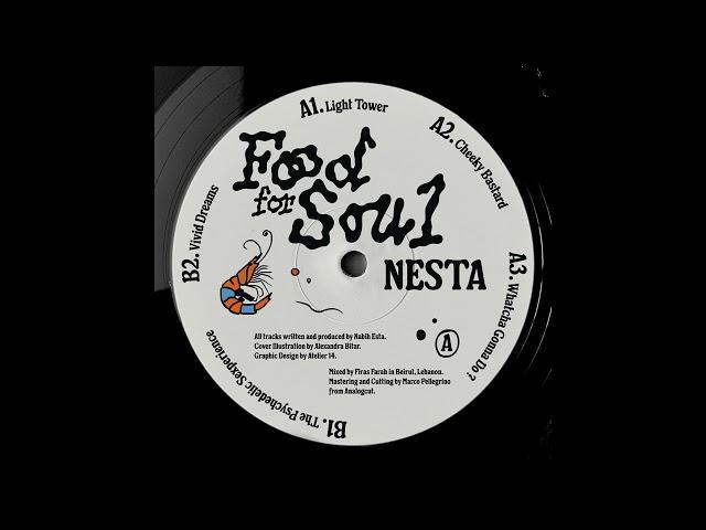 Nesta - Vivid Dreams [FDN015]