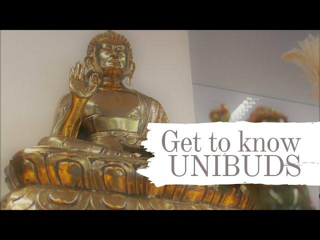 Get to know UNIBUDS