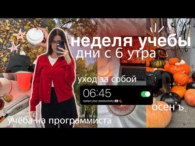 МОЯ НЕДЕЛЯ УЧЕБЫ С 6 УТРА: study vlog | утренняя рутина, контрольные ₊˚