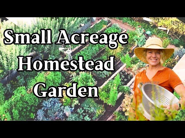 Self Sufficiency on Small 1/2 Acreage - My Vegetable Garden Layout