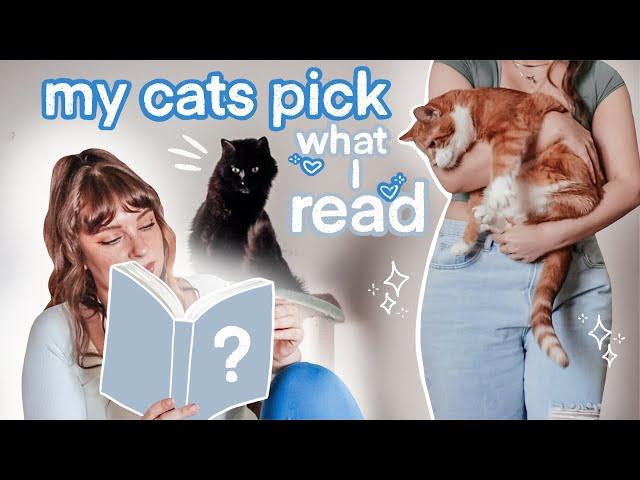 letting my cats pick my reads for a week  *meow*