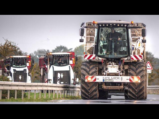 XXL BEET HARVESTING - 100% WHITE HOLMER - EPIC MACHINERY