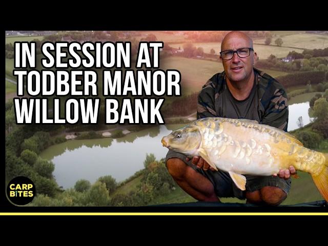 Scorching Solstice Carp Session at Todber Manor Willow Bank