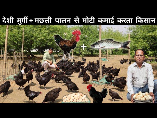 देशी मुर्गी पालन + मछली पालन से गांव में रहकर लाखों कमाता किसान | Fish Farm + Desi Poultry Farm