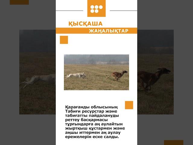#новости #5 канал Караганда
