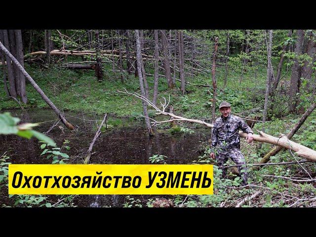 Охотхозяйство УЗМЕНЬ: бобровая плотина + инспектируем охотхозяйство