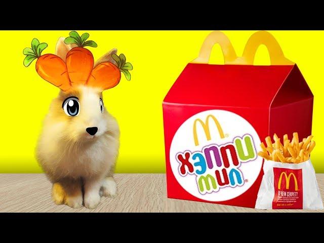 McDonalds and Rabbit Buffy tries Happy Meal at McDray / Common Food vs. Vegetable!