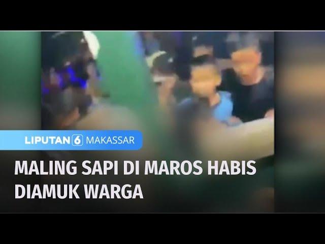 Maling Sapi di Maron Menjadi Sasaran Empuk Warga | Liputan 6 Makassar