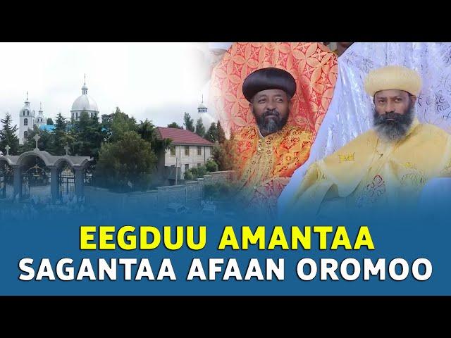 EOTC TV | Eegduu Amantaa | SAGANTAA AFAAN OROMOO