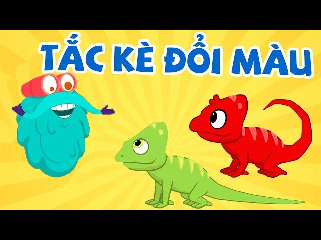Sự thật về SIÊU NĂNG LỰC BÁ ĐẠO của Tắc Kè | Vương Quốc Kiến Thức Của Binocs