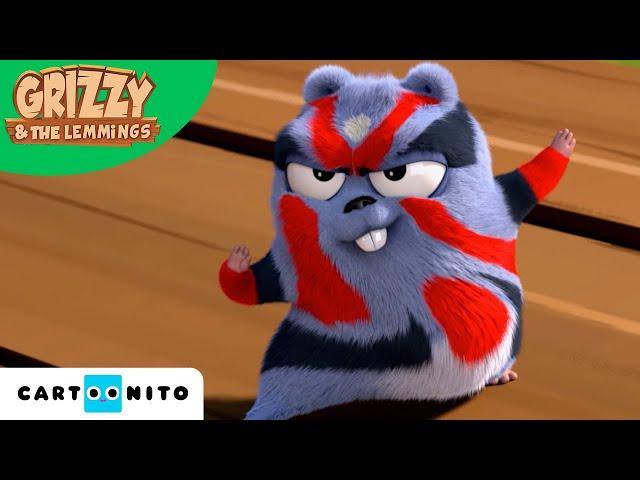 Grizzy e os Lemingues | Desafio de Kung Fu | Cartoonito