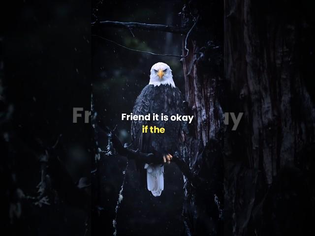 sigma rule  friend it is okay if the #motivation #motivationalquotes #shorts