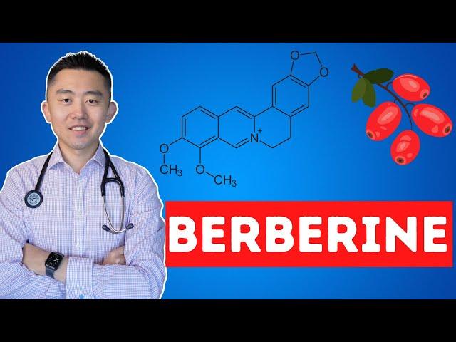 The Truth About Berberine | What you need to know