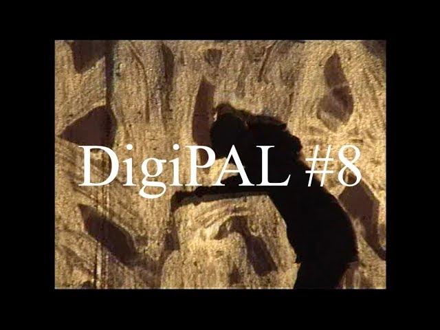 DigiPAL #8