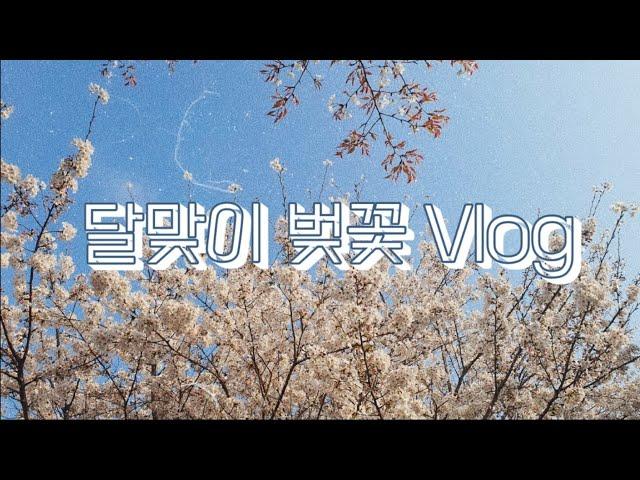 [vlog]저랑 벚꽃 놀이 가요 | 벚꽃 | 꽃놀이 | 달맞이길 | 후지필름 finepix | edge 993 | 