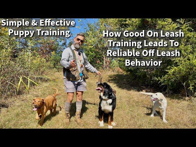 How On Leash Dog Training Leads To Off Leash Reliability When Hiking & Adventuring