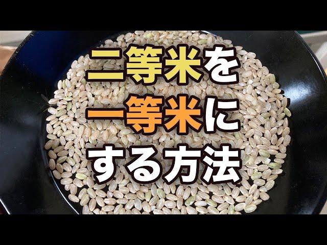 【色彩選別機】二等米を一等米にする方法教えます！(RICE IS COMEDY®︎)