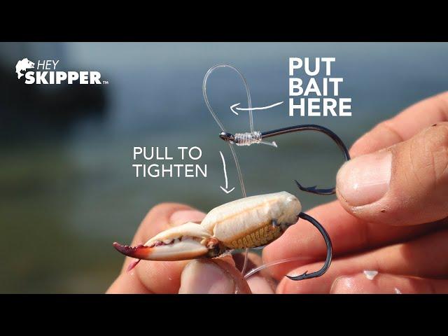 Stop Losing Your Bait With This Fishing Knot! (Egg Loop Knot)