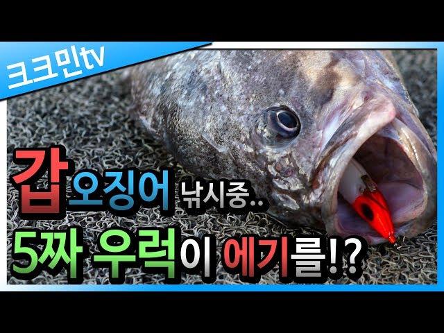 How to fish cuttlefish in Korea