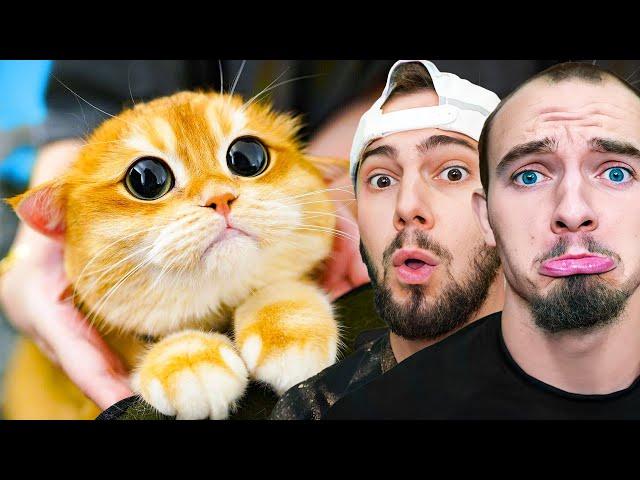 World's Cutest Animals!!!