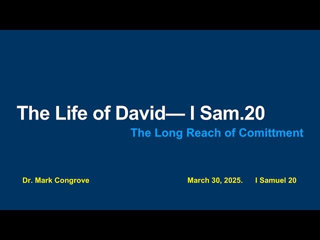 The Life and Times of David