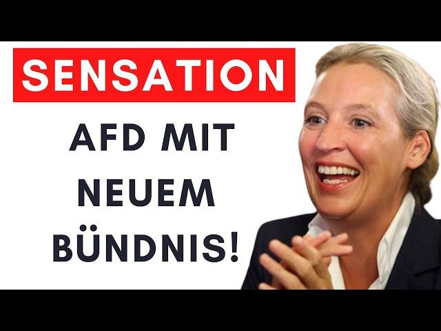 EU-Wahlen: AfD gründet eigene Fraktion – Erste Zusagen von neuen Partnern!