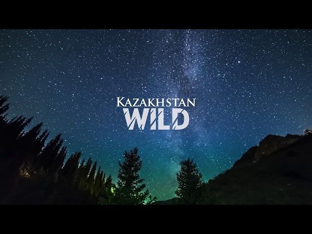 Timelapse - Kazakhstan Wild | Таймлапс - Дикий Казахстан