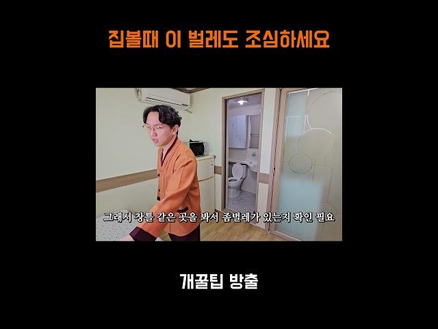 집볼때 '이 벌레'도 조심하세요  #대구원룸 #원룸대학 #원룸월세 #체크리스트 #자취방구하기