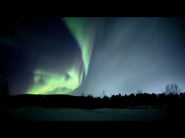 охота за северным сиянием 04.12.24