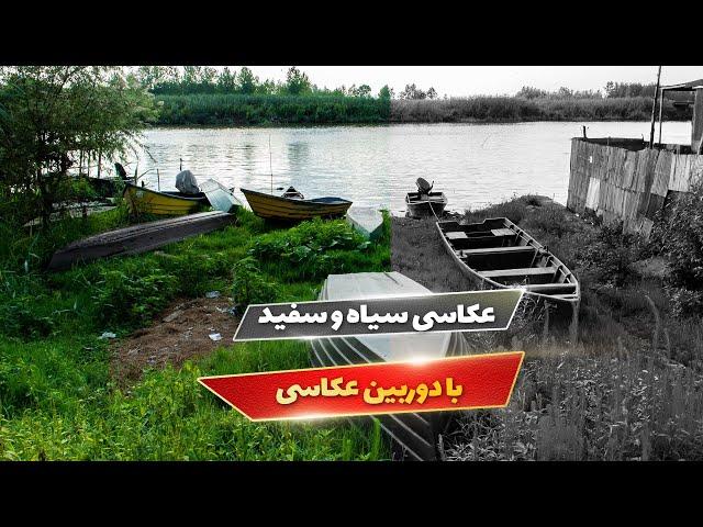 سیاه سفید کردن عکس ها در دوربین عکاسی | نور نگار