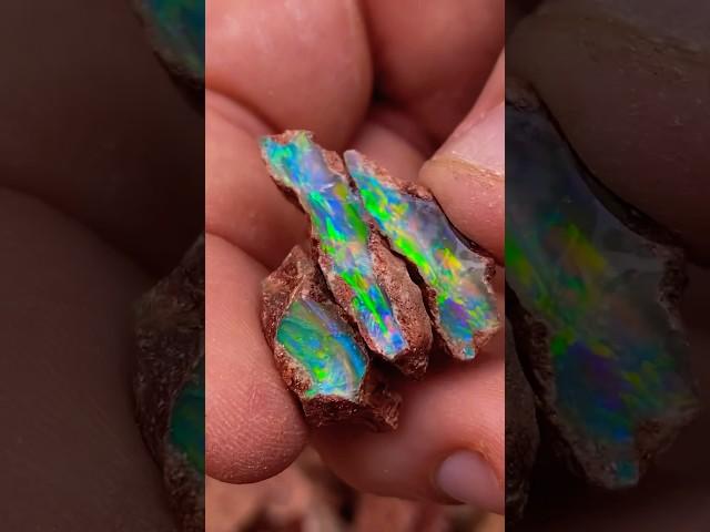 Subscribe to see if we make millions mining Australian Opal! #opal #opalhunters #mining #treasure