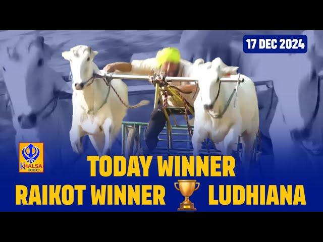 Today Winner | Raikot | Ludhiana | Ox Races | 19.91 | 17 Dec 2024 | Khalsaji Tv