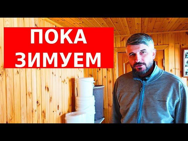 канди для легких ульев /продам пчелопакеты/вощина из своего воска/ сибирский пчелоблог