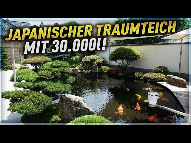 ENDLOSBANDFILTER und GARTENBONSAI! Ein 30.000 Liter KOITEICH mit japanischer Gartengestaltung!