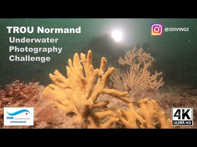 4K50 -  FFESSM TROU Normand - Underwater Photography Challenge in Normandy - 2022