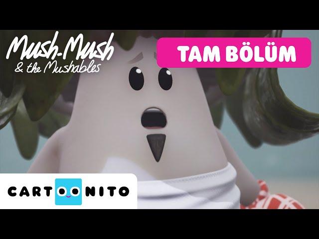 MUSH MUSH VE ARKADAŞLARI | Lakemoss Canavarı | TAM BÖLÜM |    @CartoonitoTurkiye