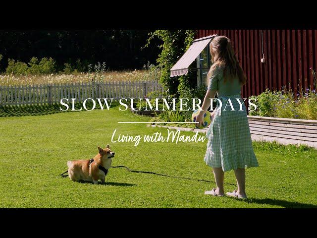 ️ Quiet days off in the countryside | Slow life in Sweden vlog