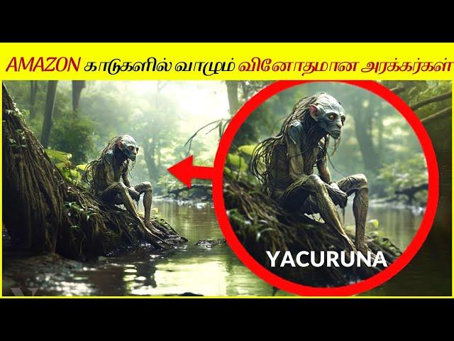 அமேசான் மழைக்காடுகளின் மறைக்கப்பட்ட மர்மங்கள் | Hidden Mysteries of the Amazon Rainforest