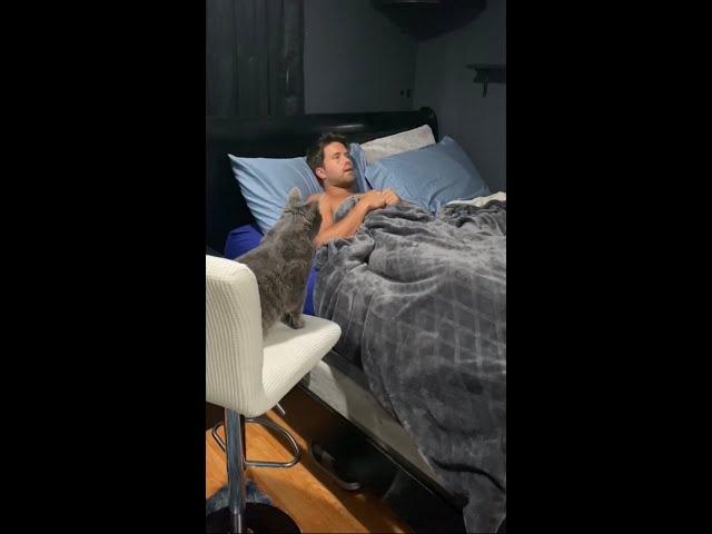 Bedtime Story Pickles