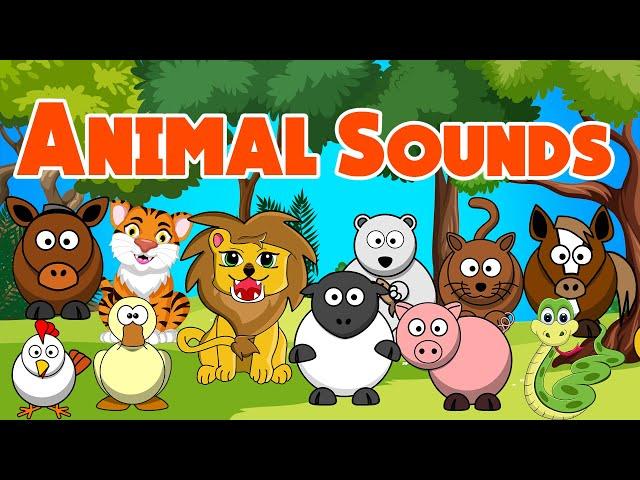 Animal sounds for Toddlers | Rhymes for Babies | LittleKidsTV