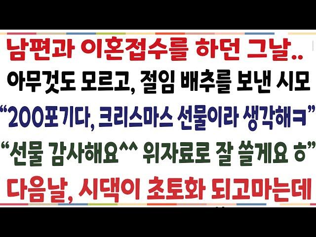 (반전신청사연)남편과 이혼접수 하던 그날 아무것도 모르고 절임배추를 보낸 시모 "200포기다 크리스마스 선물이라 생각해" 선물 감사해요 위자료로[신청사연][사이다썰][사연라디오]