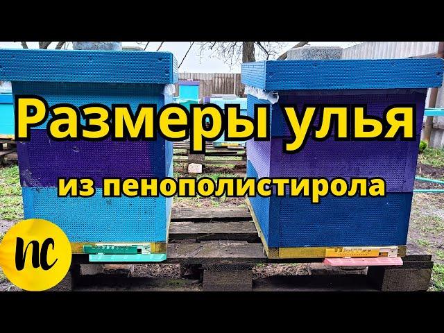 Размеры улья из пенополистирола