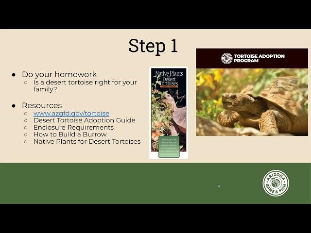 Arizona's Desert Tortoise Adoption Program / Kellie Tharp