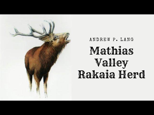 The Rakaia Herd Andrew P  Lang; Mathias Valley, Rakaia River Catchment 2005