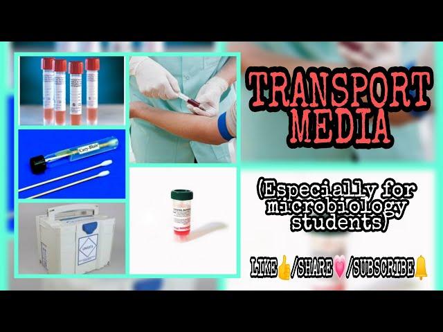 What is transport media?|Types|Properties|Microbiology|#transportmedia #scienceviewtamil #