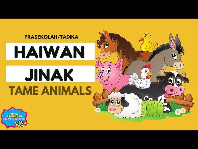 TEMA HAIWAN JINAK | PRASEKOLAH & TADIKA