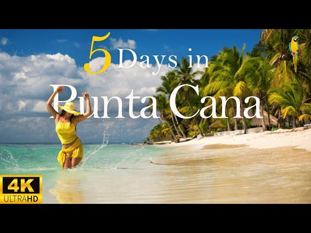 How To Spend 5 Days In PUNTA CANA Dominican Republic | The Perfect Travel Itinerary